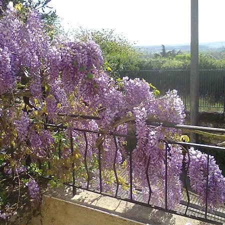 Manoir Le Cristal 